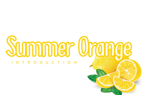 Summer Orange Font for Business