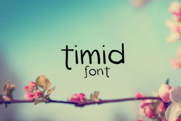 Timid Font: A Friendly Display Typeface for Scroll-Stopping Campaigns