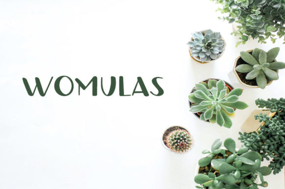 Womulas: A Playful Display Font for Distinctive Web Design